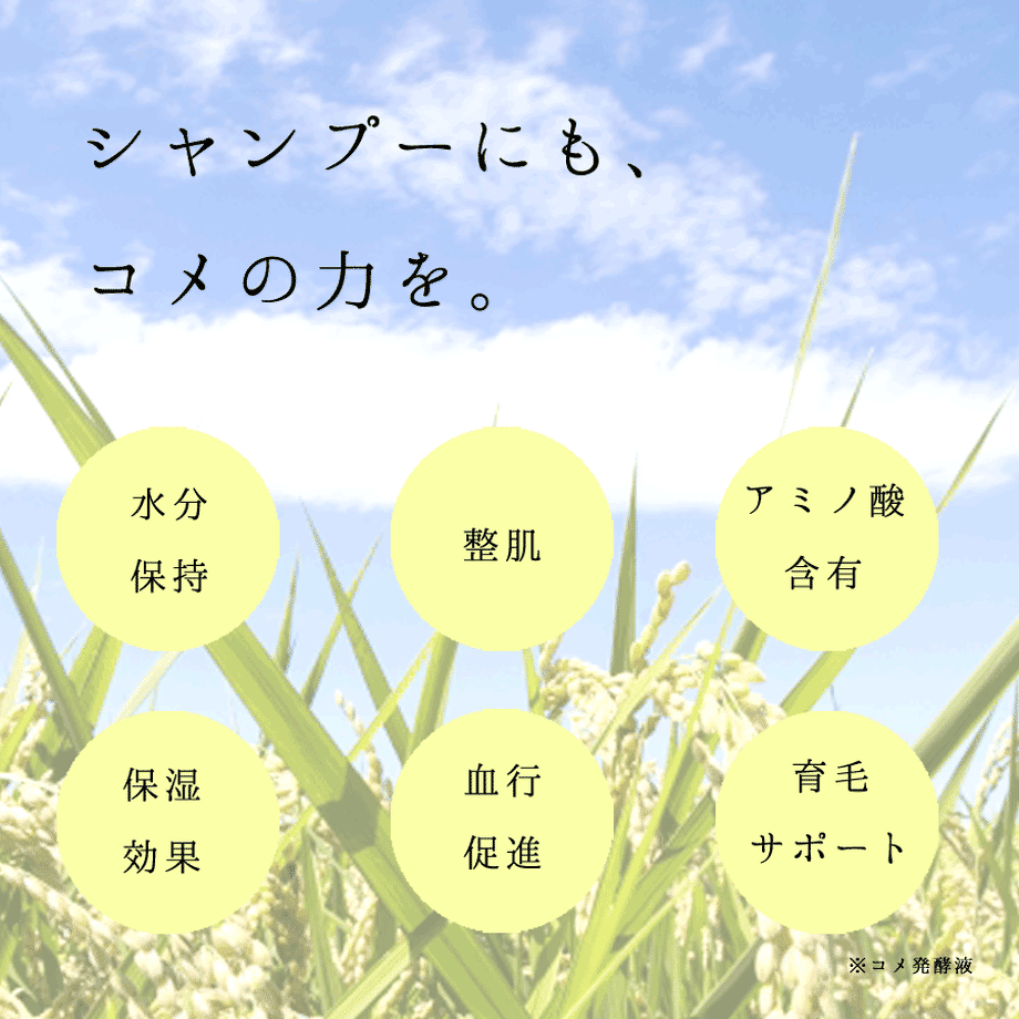 5dd7a6dbc5d0e54c81ab92b9