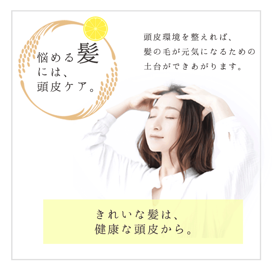 5dd7a64951940c59437f3066