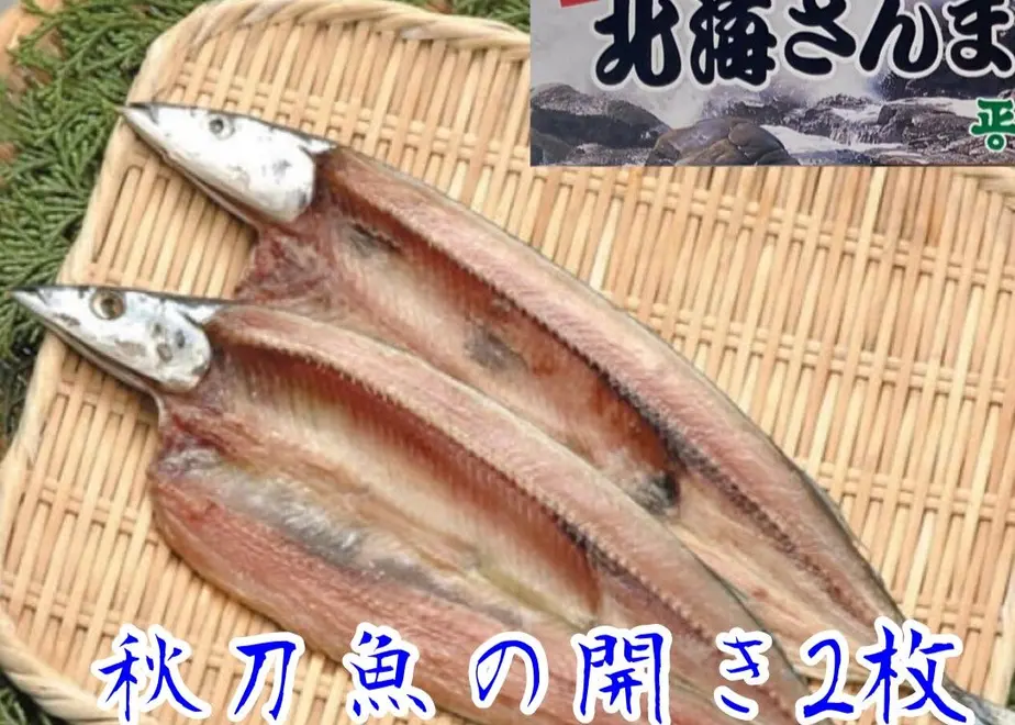 61e619e1423f6a5636df034d