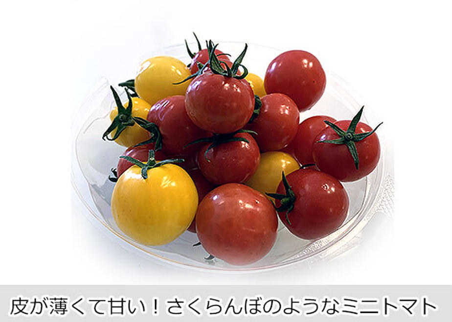 5fd4092af0b1084cabf70f38