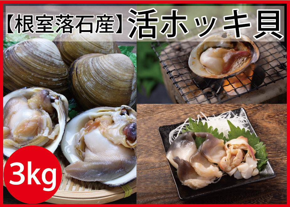 643cf37b4fbfd100296a8158