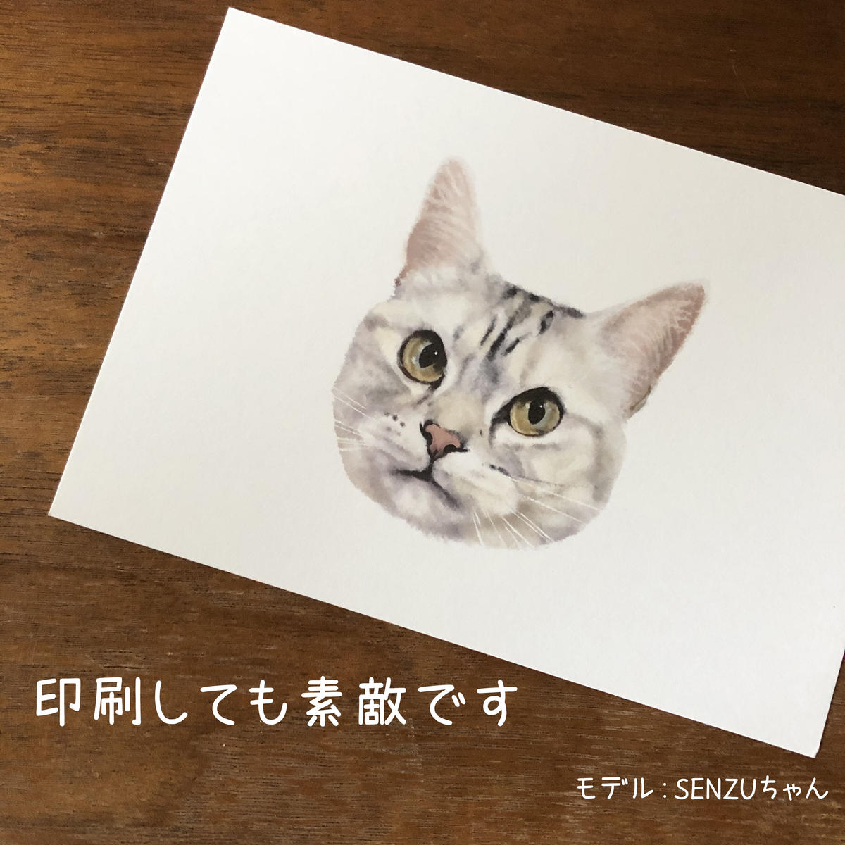 うちの子 ペットのお写真を似顔絵イラストとして そのまま お描きします お顔のみ 14