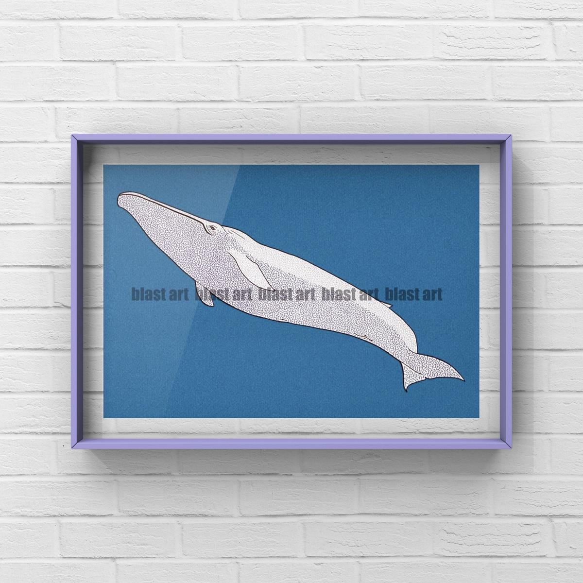 シロナガスクジラ イラスト Ace Art 迷路アートの世界