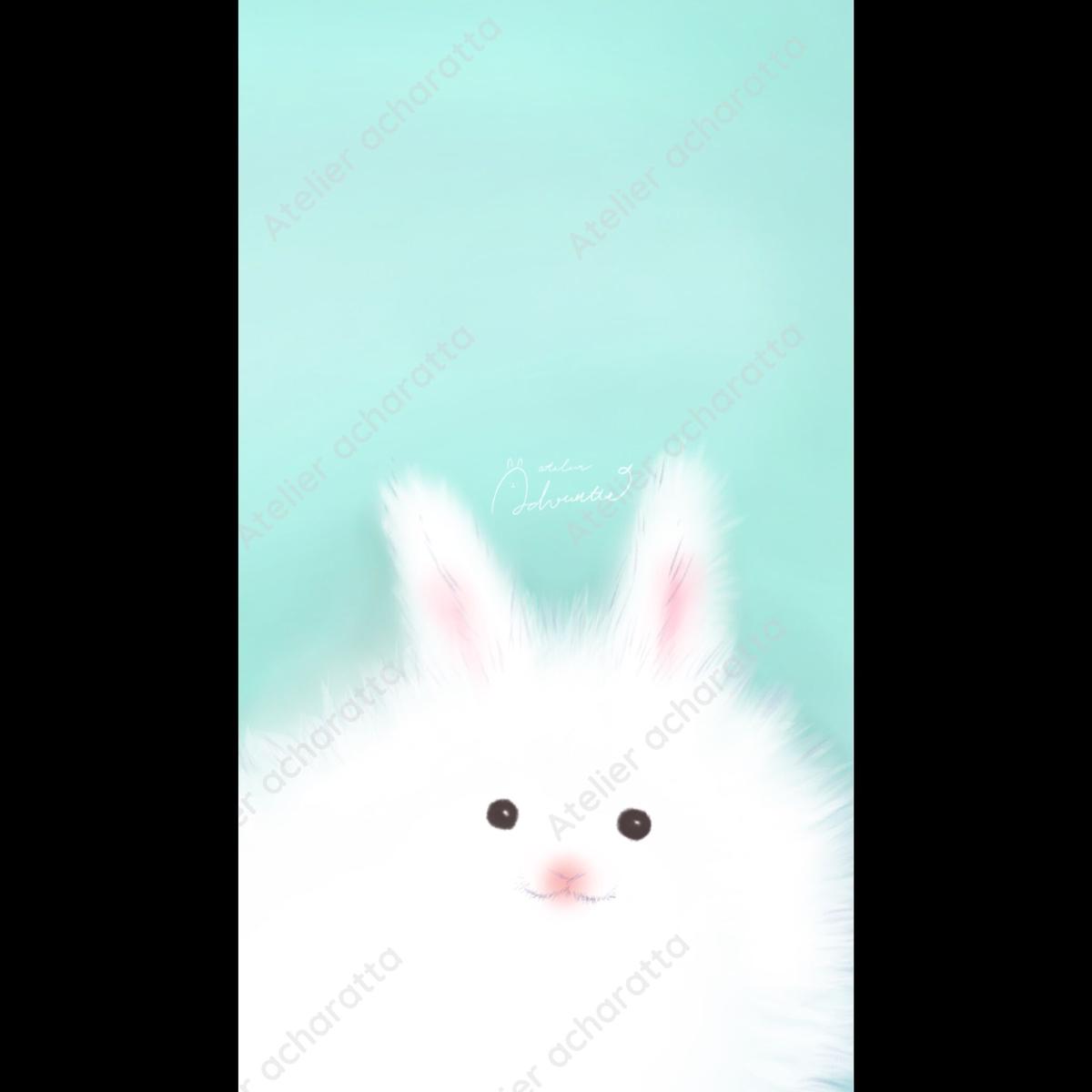 スマホ壁紙 ふわふわ白うさぎ ミントmint Acharatta S Store スマホ壁紙 ふわふわ白うさぎ ミントmint Acharatta S Store