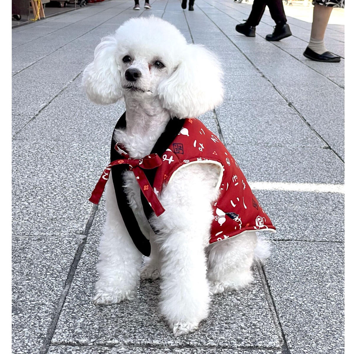 ちゃんちゃんこ2号 Adachiya Net