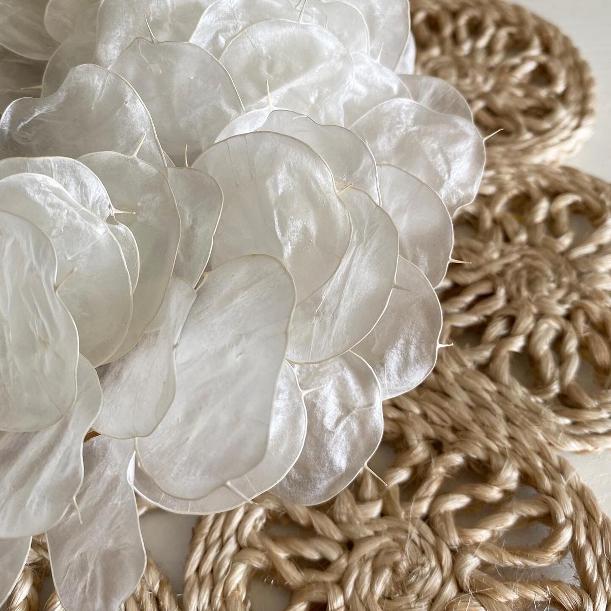 Lunaria Crystal A Aivy Design Lunaria Crystal A Aivy Design