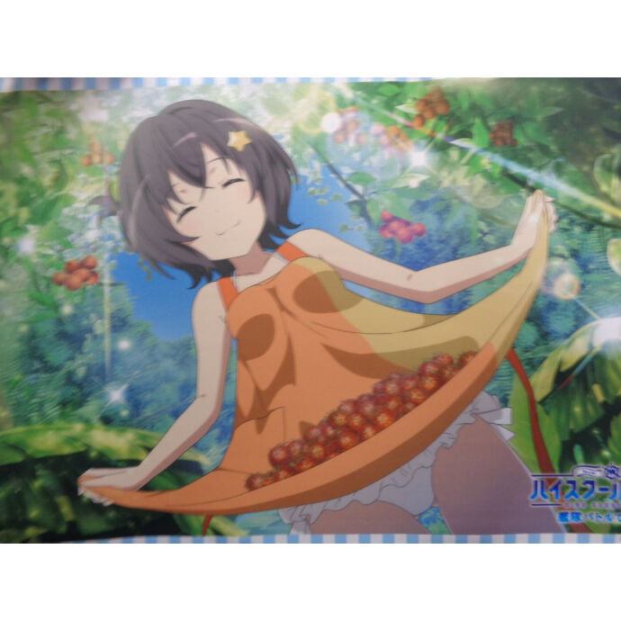 ハイスクール フリート 艦隊バトルでピンチ B2タペストリー 伊良子美甘 K Books