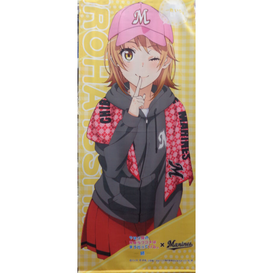 欠品カラー再入荷 千葉ロッテマリーンズ タペストリー Www Dzzavidovici Ba