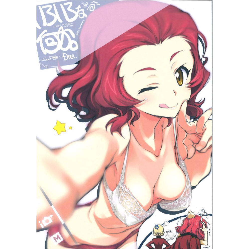 ガールズ&パンツァー おこたんぺこ いろいろな何か。 GuP編 Plus. Zwei