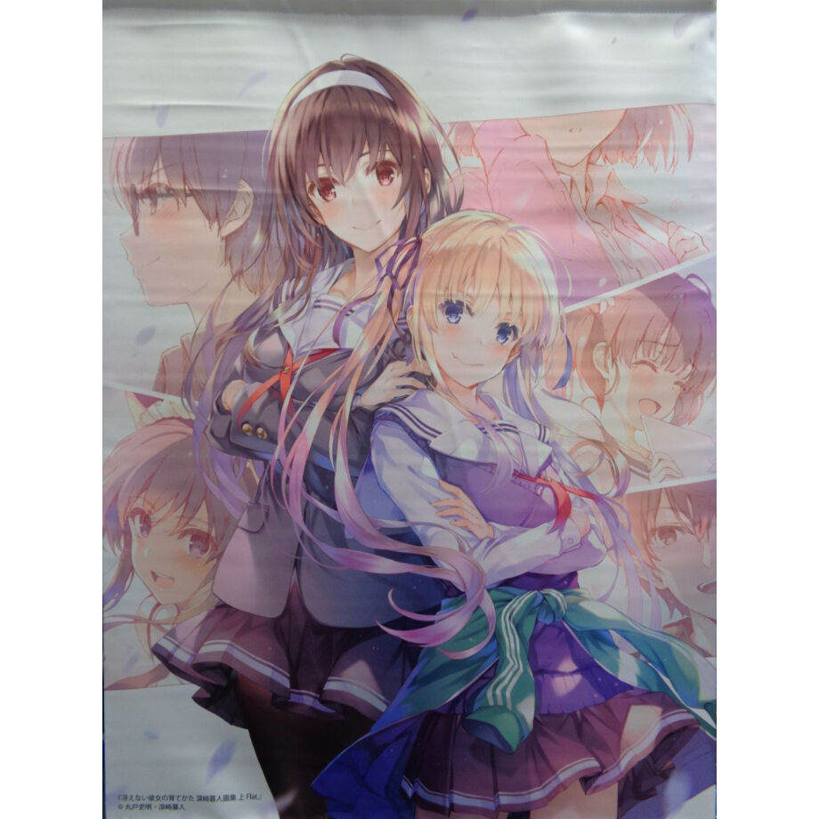 冴えない彼女の育てかた 深崎暮人画集 上 Flat. B2タペストリー ANIPLEX+限定... 冴えない彼女の育てかた 深崎暮人画集 上 Flat. B2タペストリー ANIPLEX+限定...
