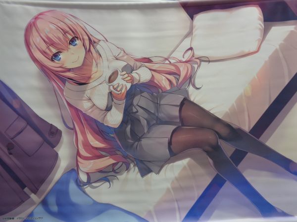 ライトノベル ようこそ実力至上主義の教室へ B2タペストリー 第10巻 Mfたぺjセット