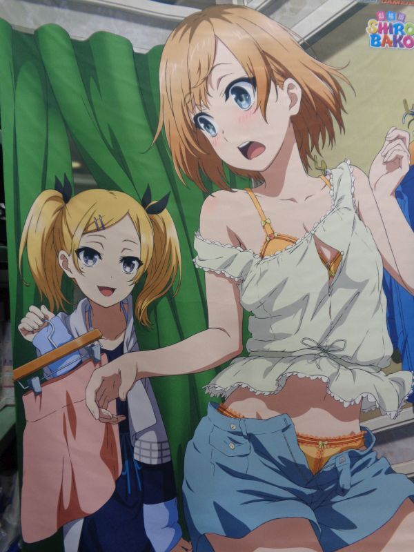 宮森あおい＆矢野エリカ 描き下ろしB2タペストリー 「Blu-ray