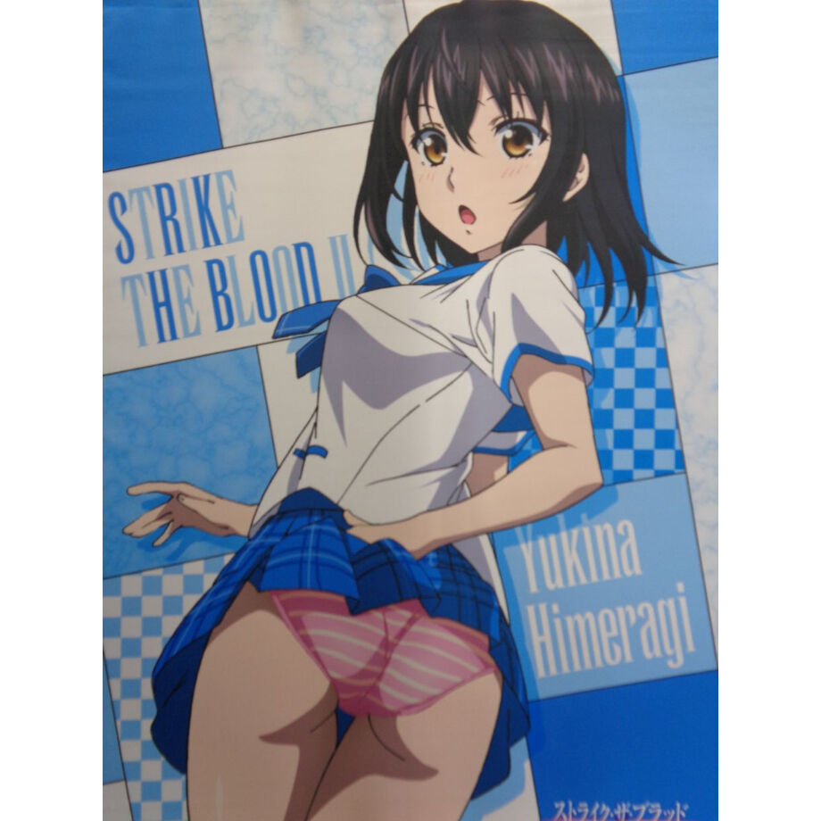 ストライク ザ ブラッド 姫柊雪菜 B2タペストリー 単品 K Books 秋葉原