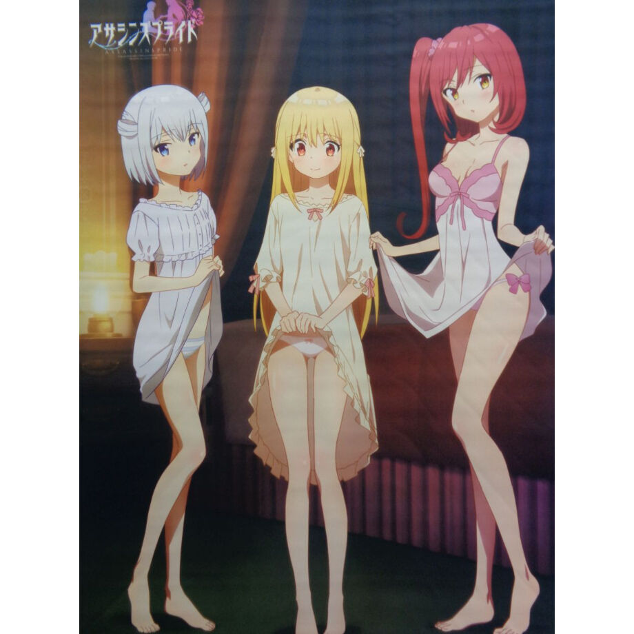 アサシンズプライド B2タペストリー BD/DVD ゲーマーズ全巻特典 | K