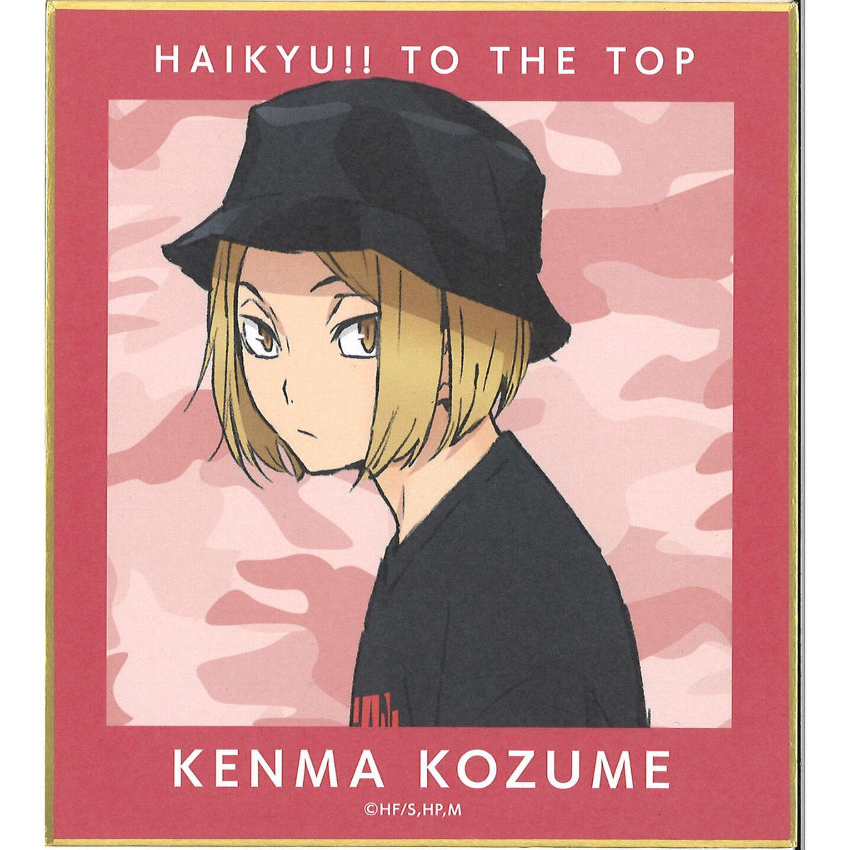 ハイキュー To The Top 東武動物公園 描き下ろしイラスト レジャーver