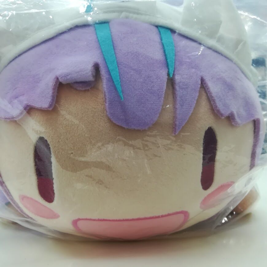 たしろ屋 ぬいぐるみ ホロライブ 湊あくあ 超BIGぬいぐるみ