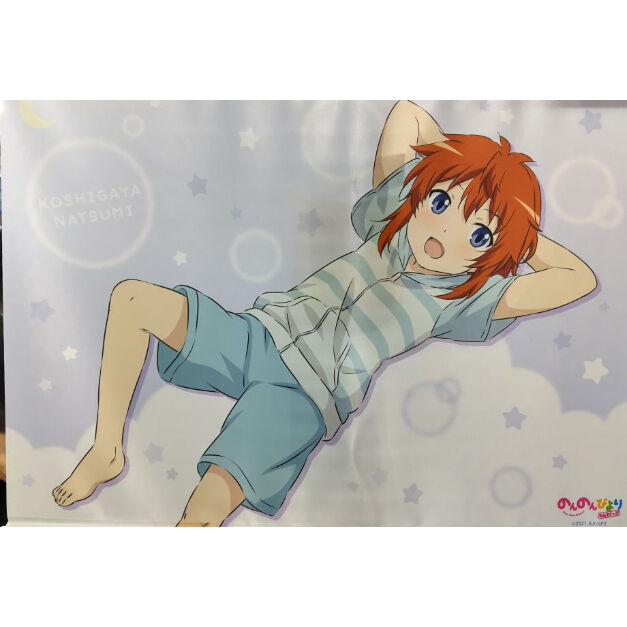 のんのんびより B2タペストリー 越谷夏海 のんすとっぷくじa 3賞 K Books 秋葉原