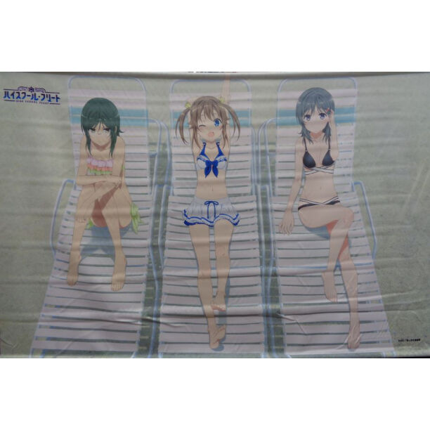 バトルガールハイスクールハイスクール タペストリー 水着描き下ろし