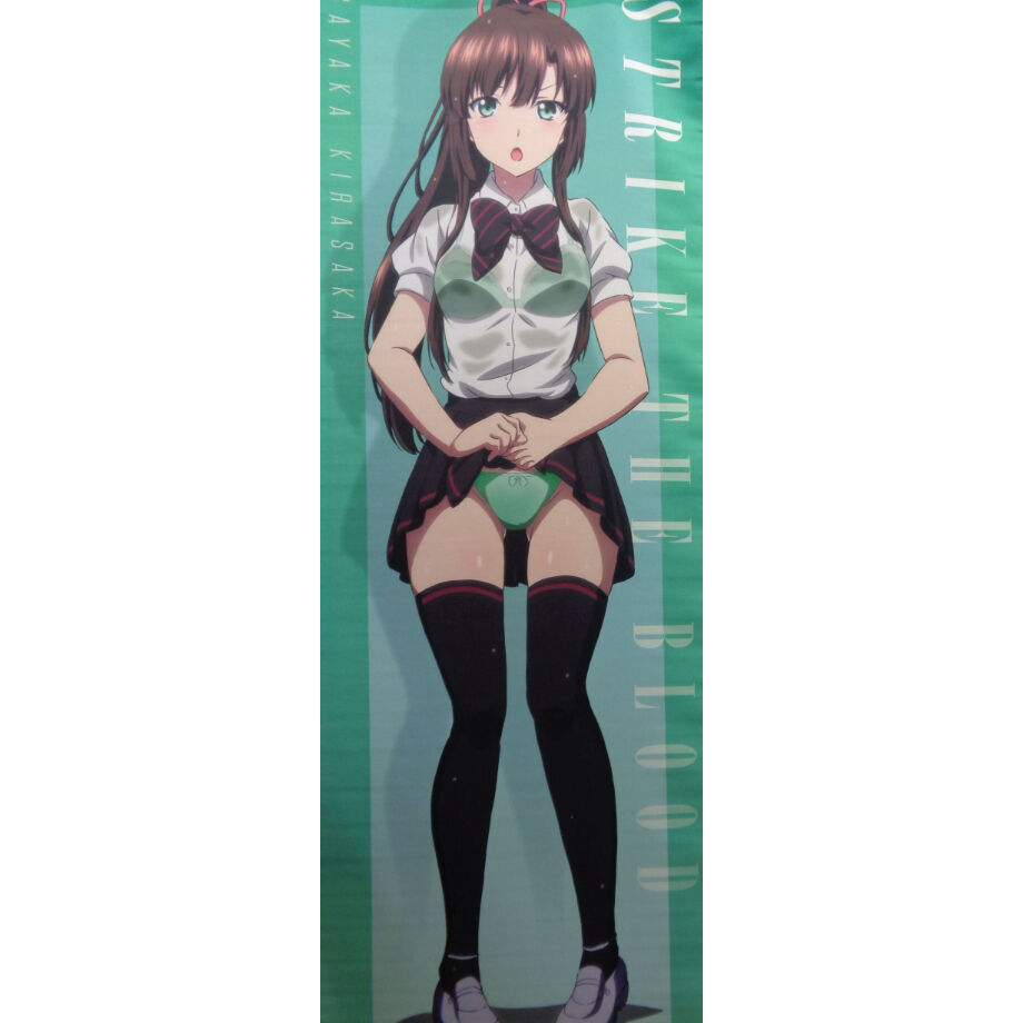 ストライク・ザ・ブラッド FINAL特大タペストリー 藍羽浅葱 雨宿り