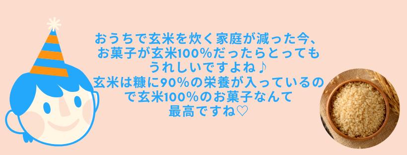 玄米クリーム 無農薬玄米 Ally Beauty Shop