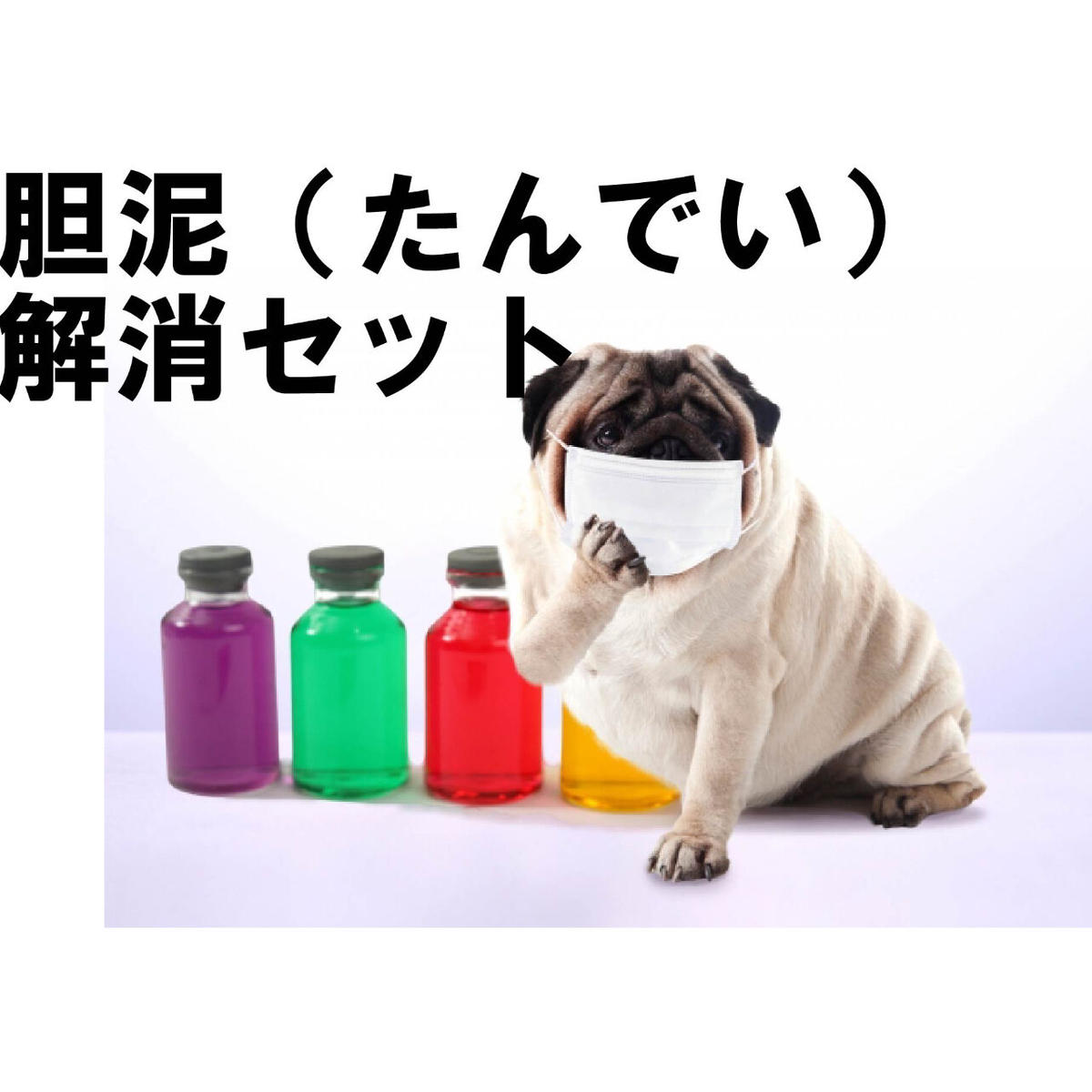胆泥 たんでい セット 高齢になると多くなる胆泥を少しでも解消するセット ヴァイシュラショ