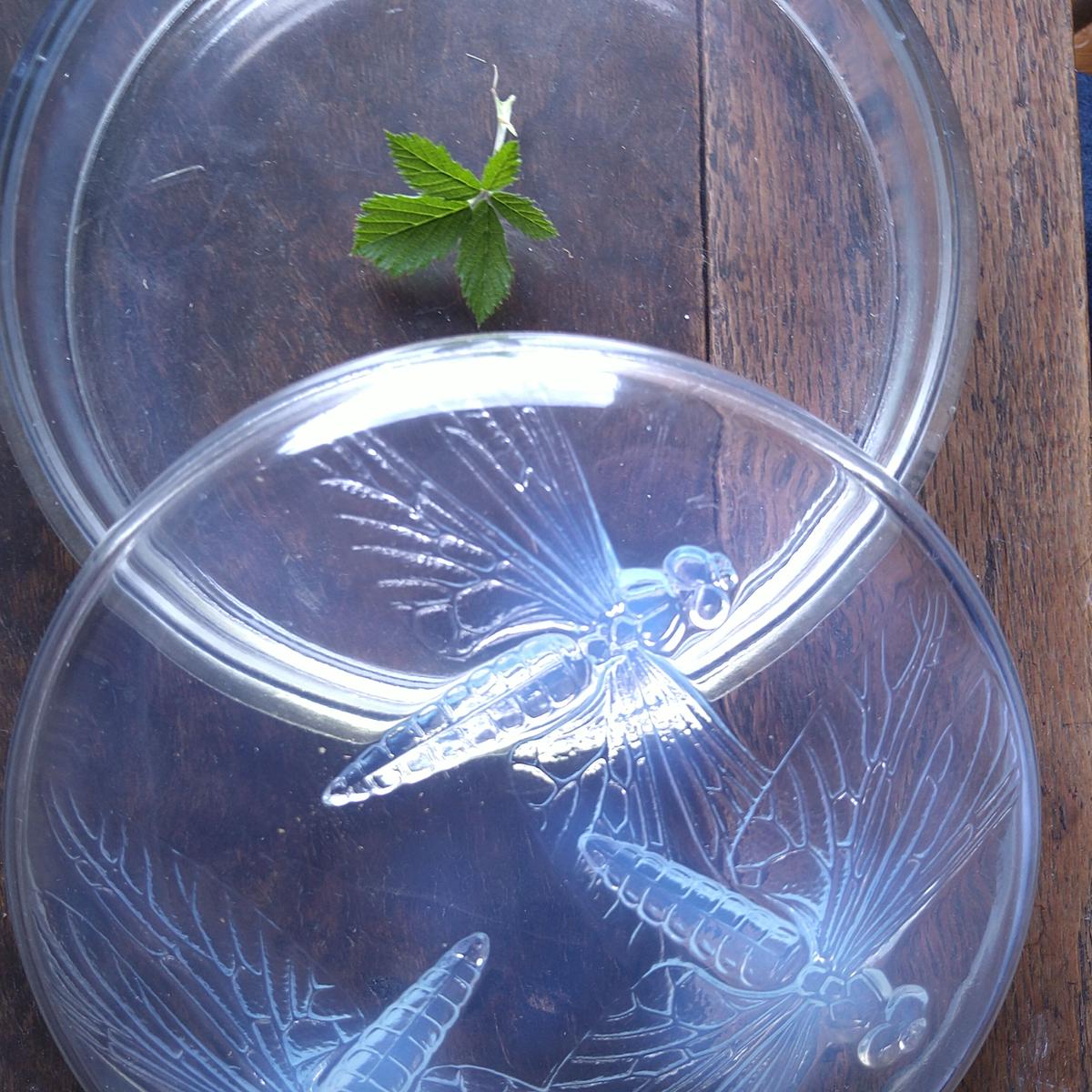 ルネ・ラリック Volubilis オパルセントガラス ボウル 朝顔 1921年