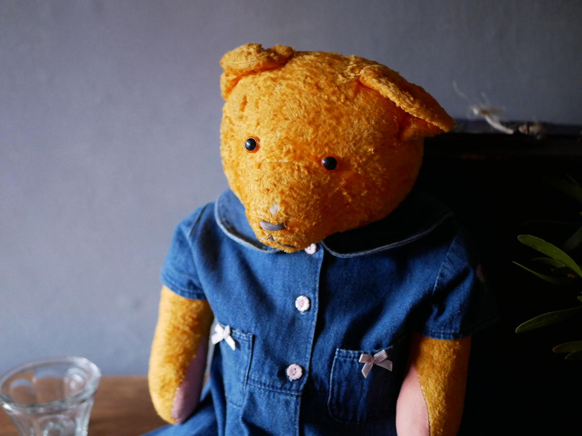 人気商品】 ハンガリーのアンティークベアー ぬいぐるみ - education