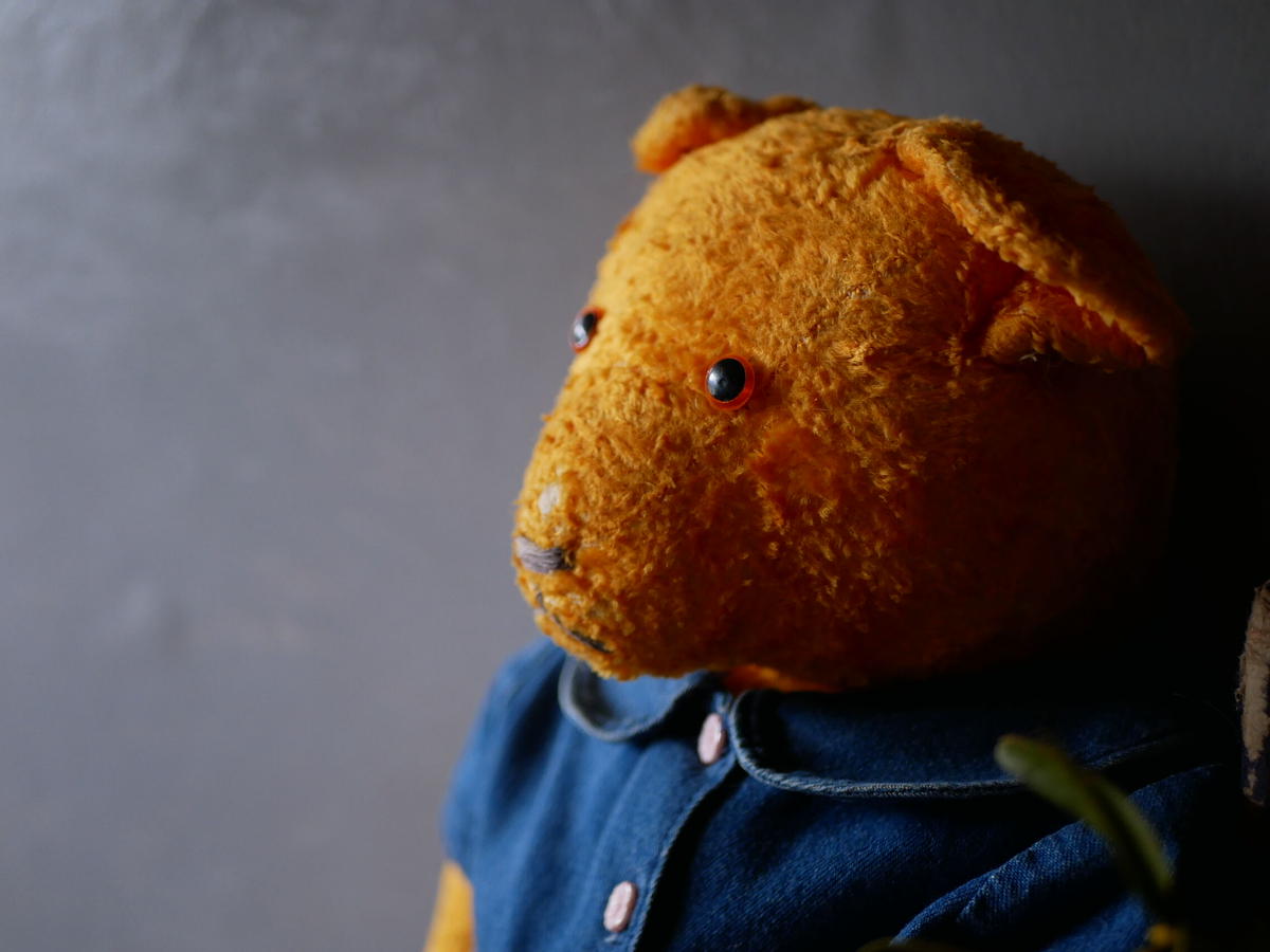 人気商品】 ハンガリーのアンティークベアー ぬいぐるみ - education