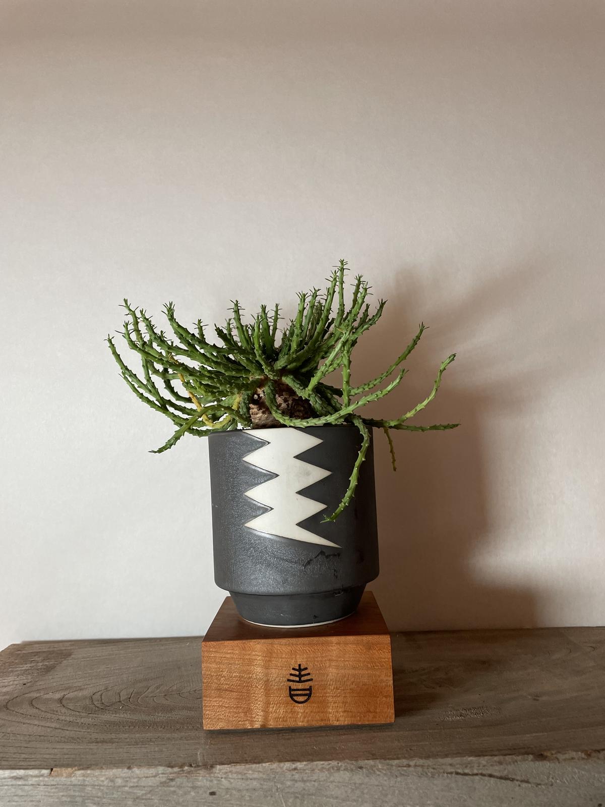 VALIEM ONLINE STORE
