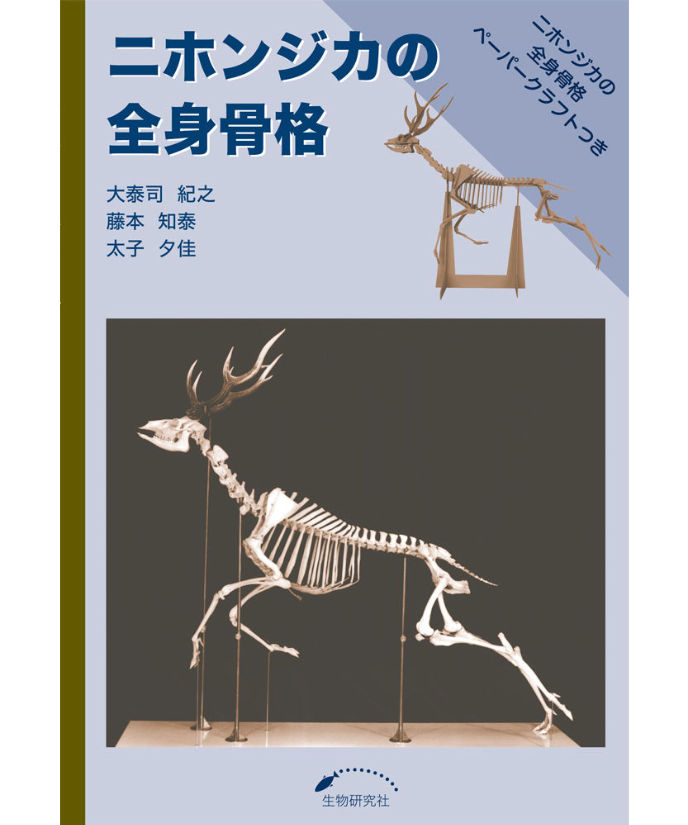 ニホンジカの全身骨格 生物研究社の本