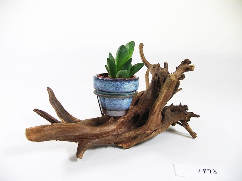 プレゼント対象商品 流木のなんか置くやーつ 春物がお買い得 週末限定sale