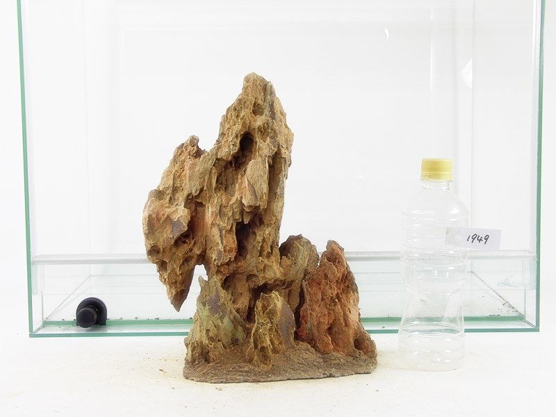 気孔石山 60cm水槽に最適サイズ 一点物の水槽オブジェ No 1949 アクアリウム流木
