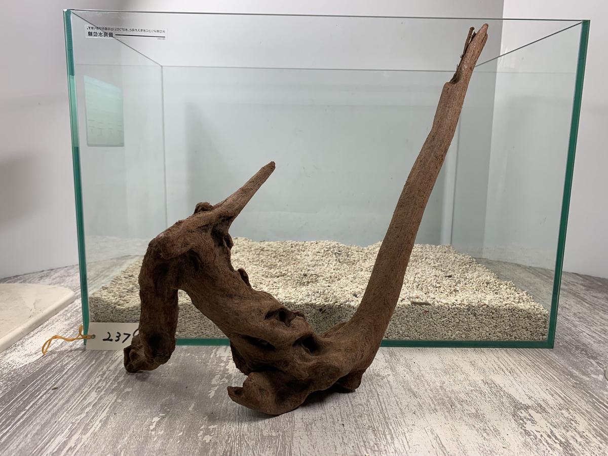 現物撮影 10cm弱 塊系流木 インテリアアクアリウム