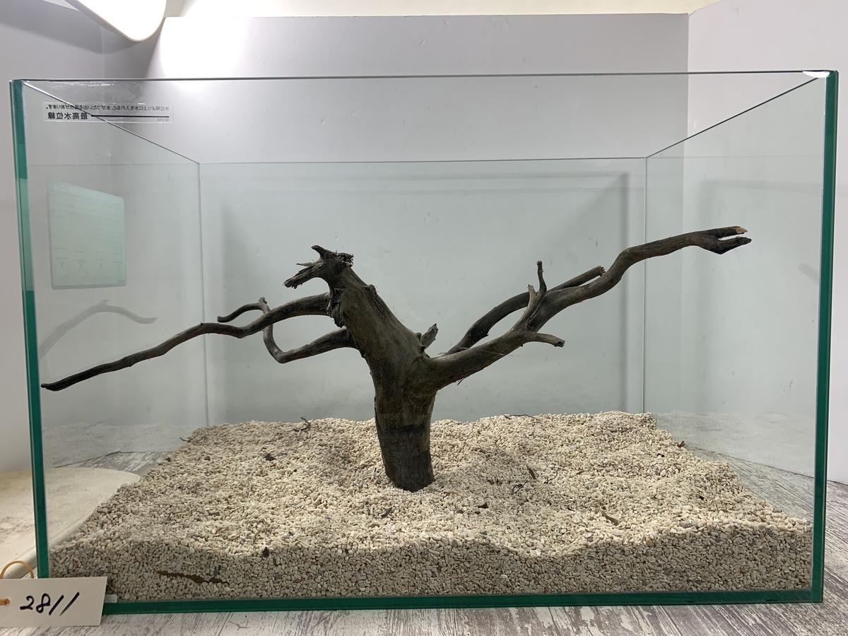 ネシア流木 ブラックお得な２本組レイアウト 1点ものno 2811 W約42cm 43cm