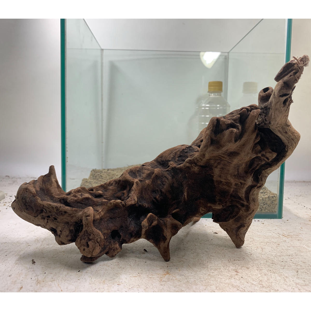 装飾用最高級流木☆マングローブ系プレミアム ☆流木 マングローブ