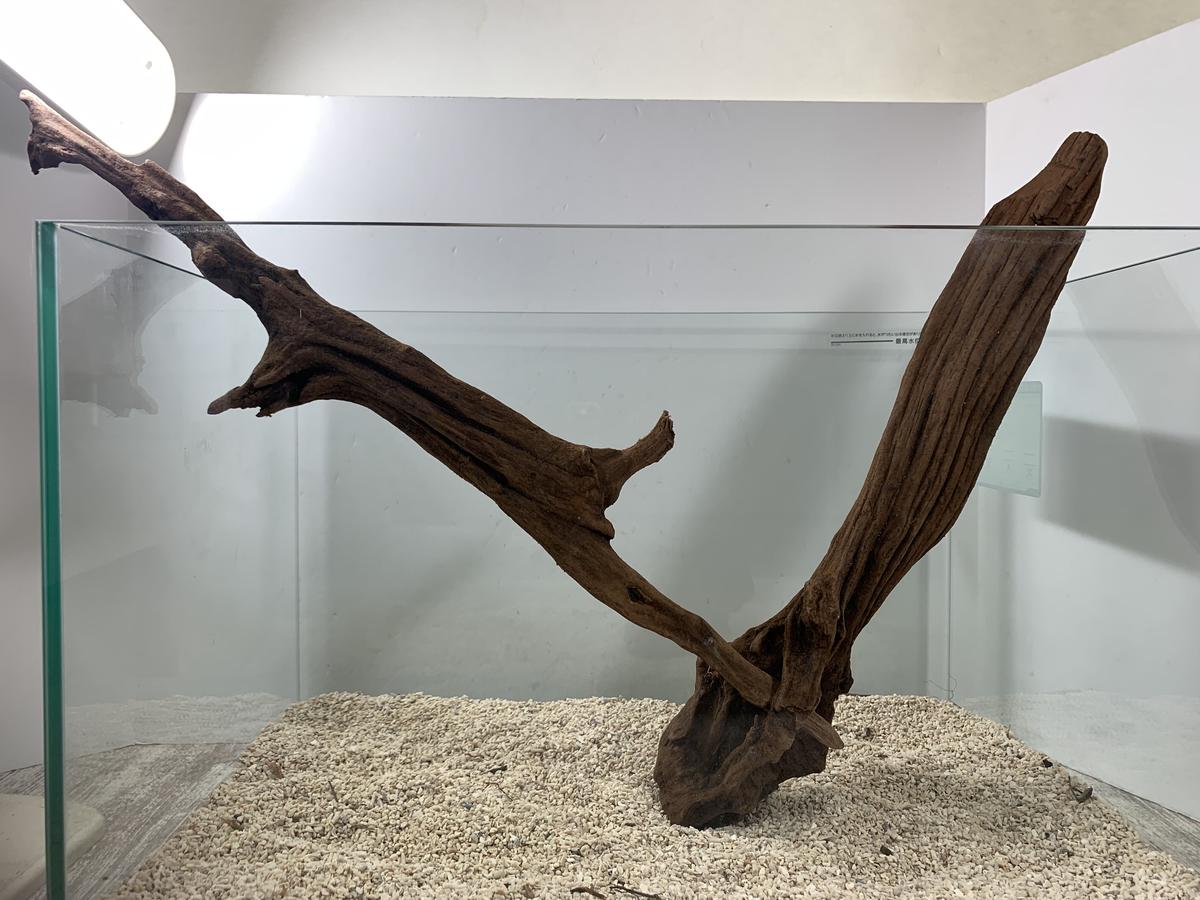 市場 現物撮影 塊系流木 15cm弱 インテリアアクアリウム