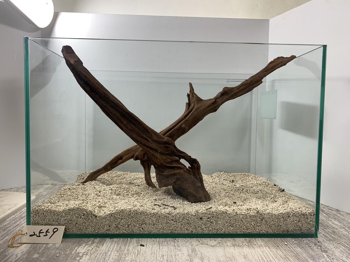 現物撮影 10cm弱 塊系流木 インテリアアクアリウム