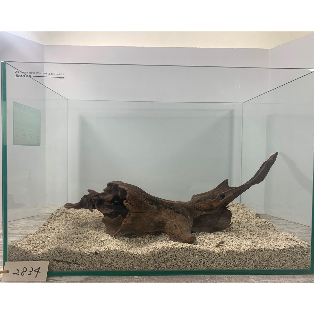 A-STYLE マングローブ流木 水中管理 沈水済み アク抜き済 写真分 A-STYLE マングローブ流木 超大量 水中管理 沈水済み アク抜き済 32