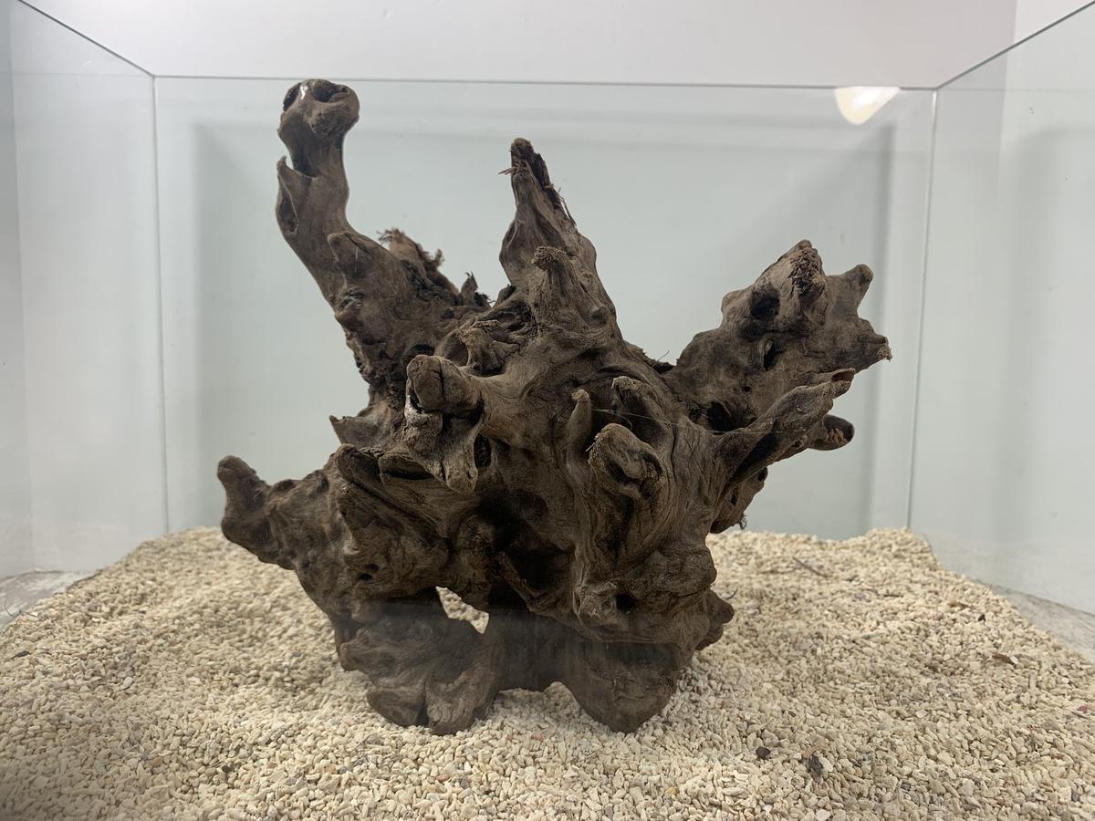 A-STYLE マングローブ流木 超大量 水中管理 沈水済み アク抜き済 32