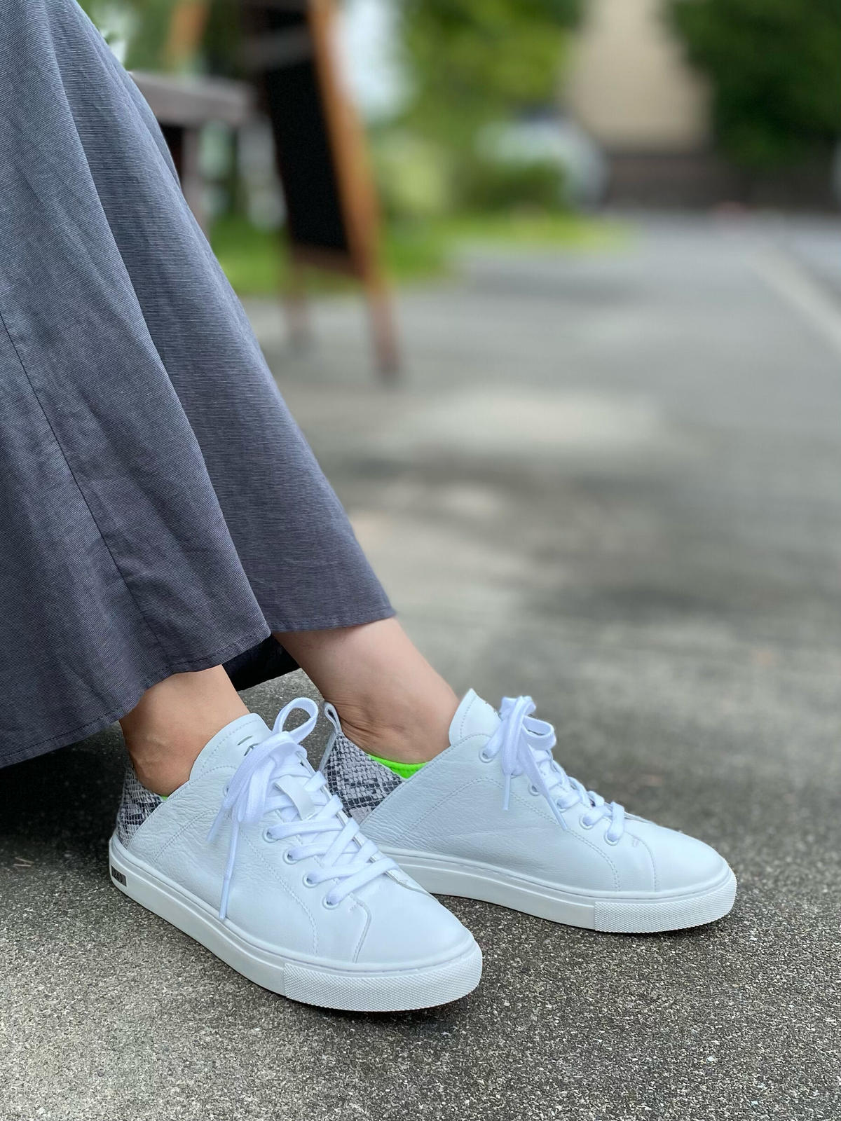 パイソン柄スニーカー 予約 Aquila