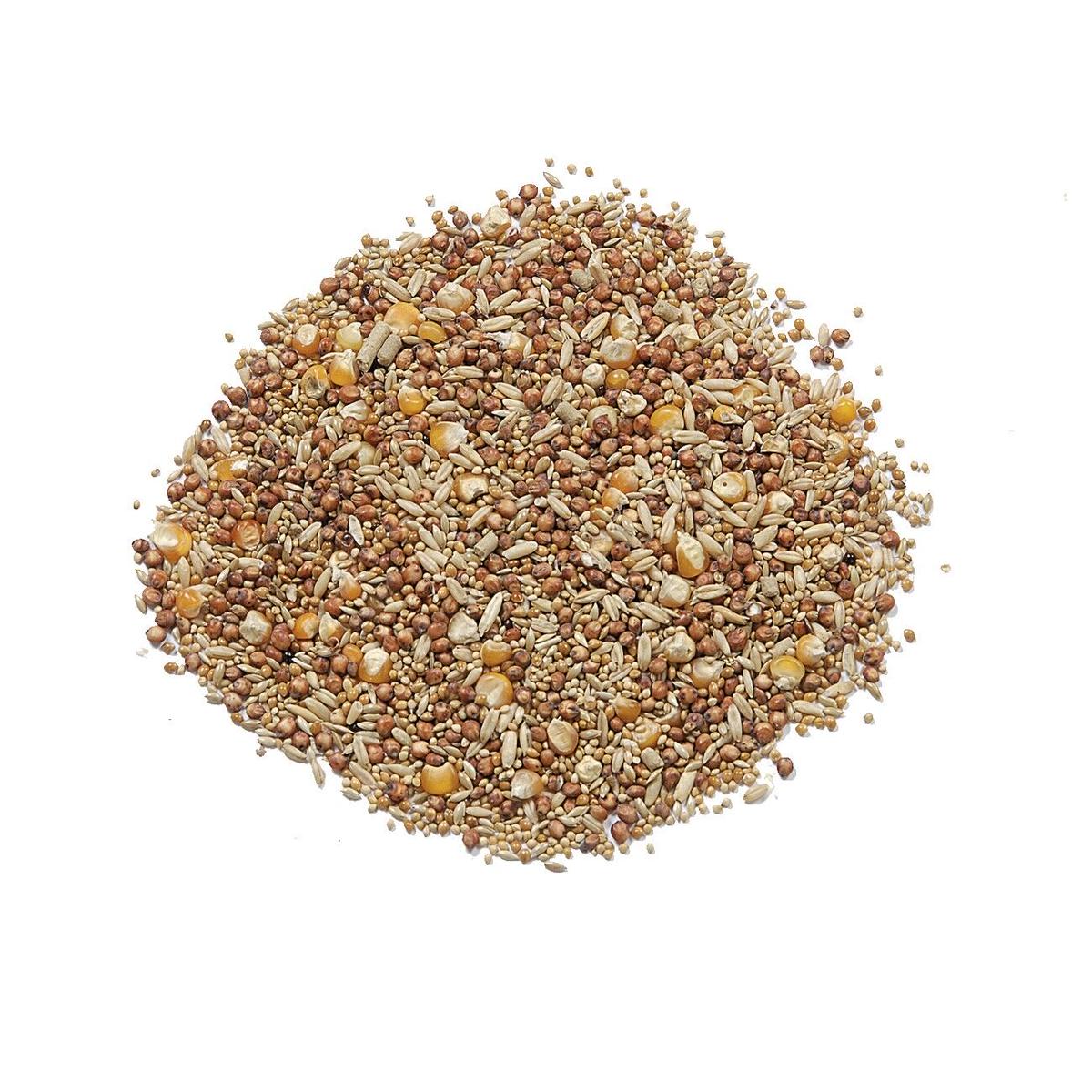 822円 【98%OFF!】 アラタ ワンバード アミーゴ 野鳥のまき餌 4kg 822円 【98%OFF!】 アラタ ワンバード アミーゴ 野鳥のまき餌 4kg