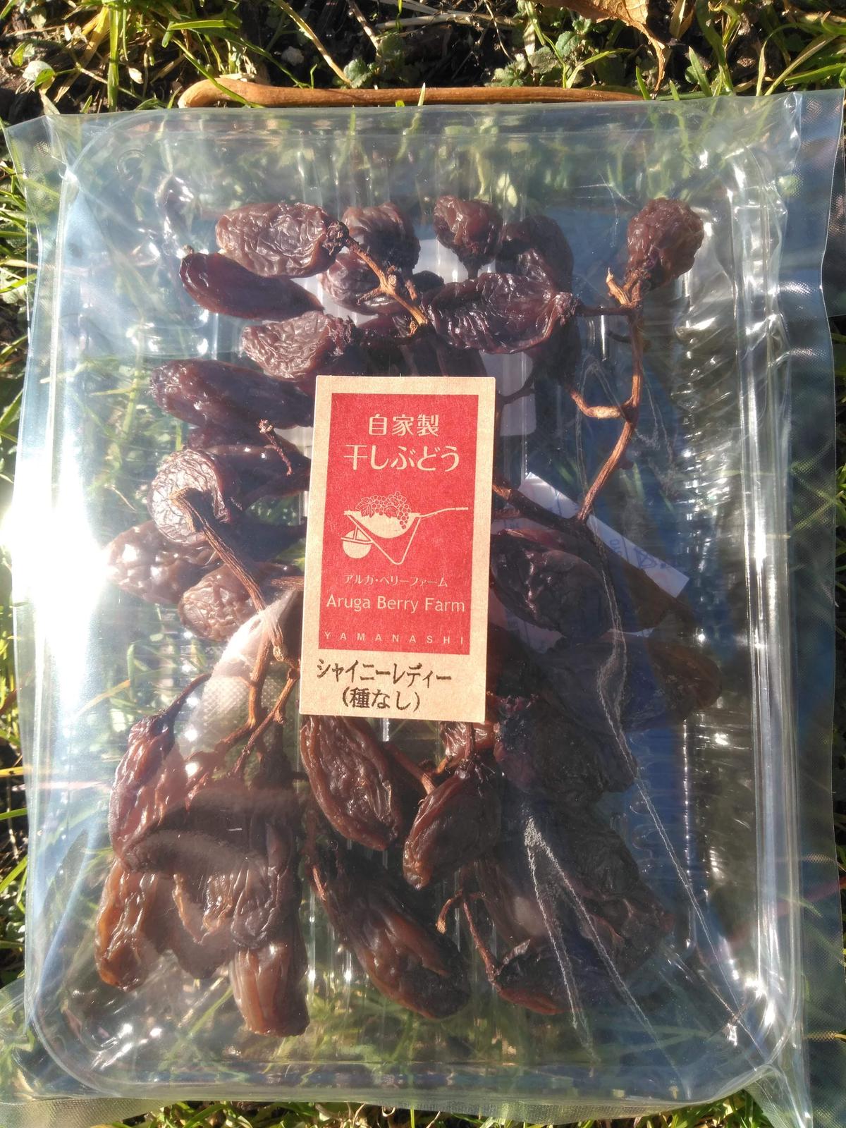 自家製 枝付き干しぶどう １００ｇ シャイニーレディー Aruga Berry Farm