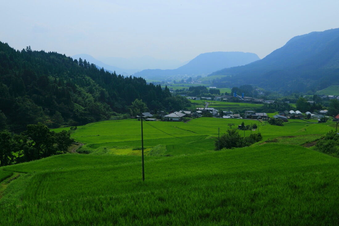 大分県玖珠九重産ひとめぼれ/玄米/15kg/令和4年産/JA1等米 /減農薬/特別栽培米/棚田米/玖珠米