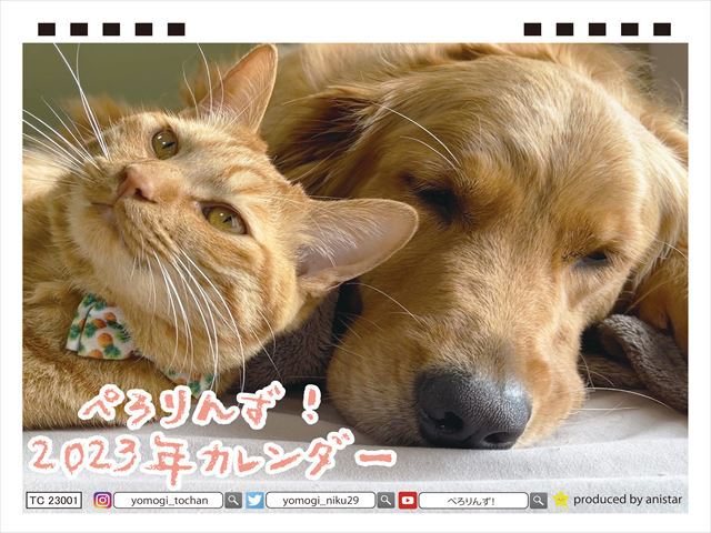 22秋冬新作 23年 卓上カレンダー ゴールデンレトリバー犬のこーる君たち Tc Admin Bionic Com Cy