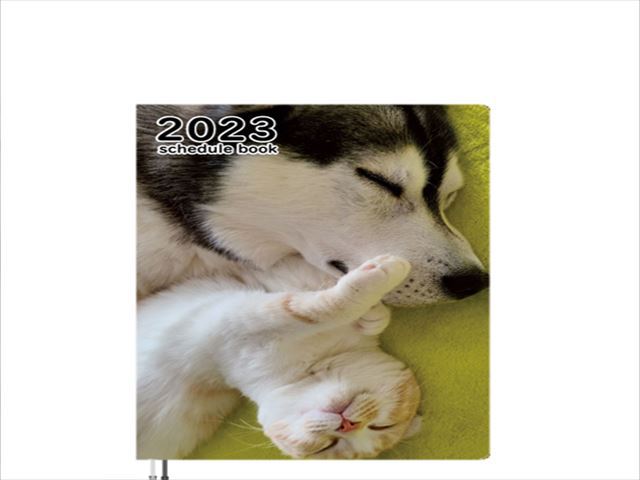 予約販売 シベリアンハスキー犬はっちゃんと猫のじゅんちゃん 23年 A5スケジュール帳