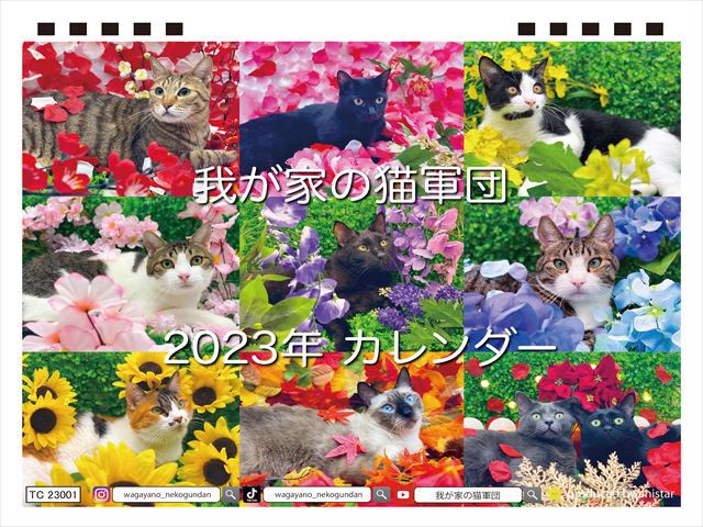 予約販売 我が家の猫軍団 23年 卓上カレンダー Tc232 Anistar