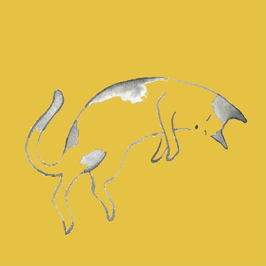 眠り猫 ブチ アトリエアール