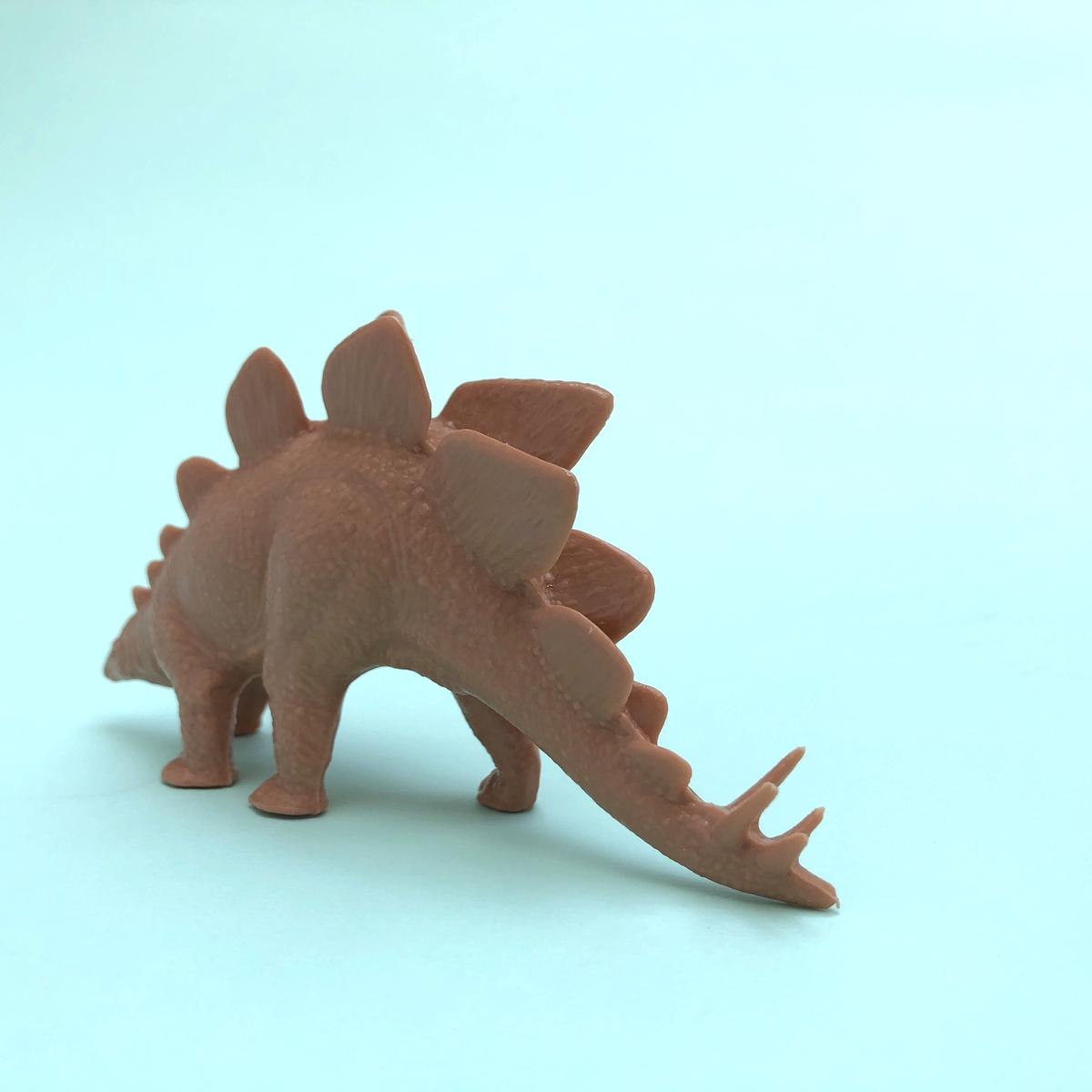 大英博物館 自然史博物館☆ブリティッシュミュージアム☆恐竜