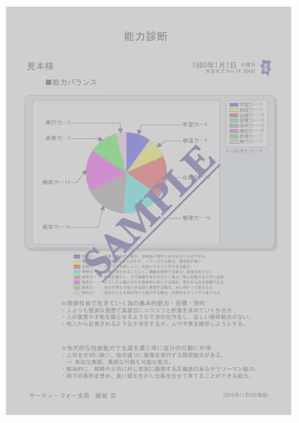 能力診断 レターパック レポートストアー