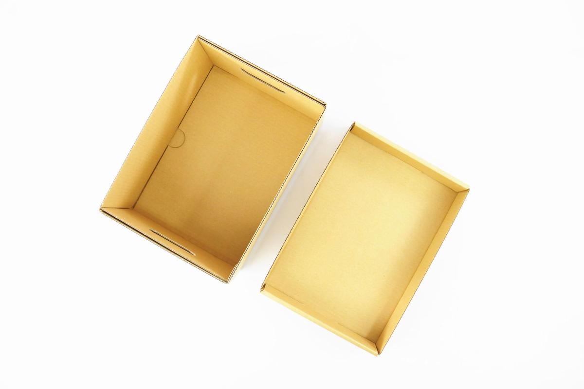 書籍用収納ダンボール A5サイズ Bibliophilic